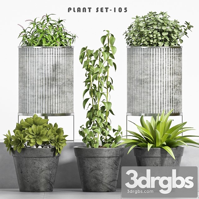 Plant set-105 - thumbnail 1