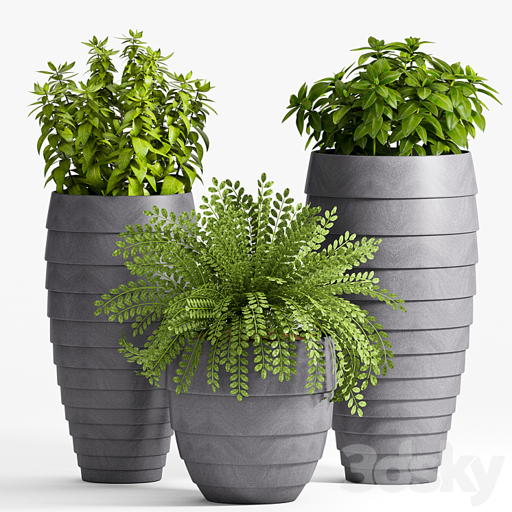 Plant Set -25 3DS Max - thumbnail 1