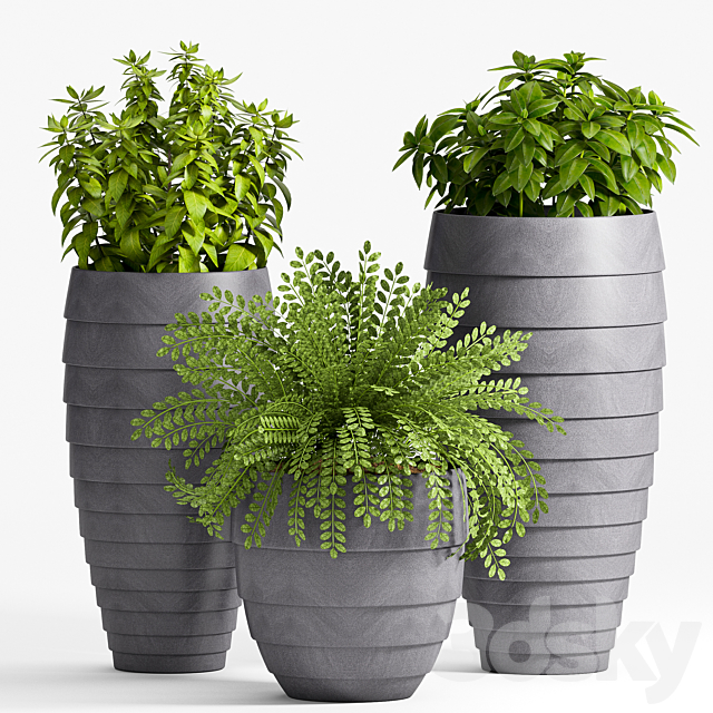 Plant Set -25 3DSMax File - thumbnail 1