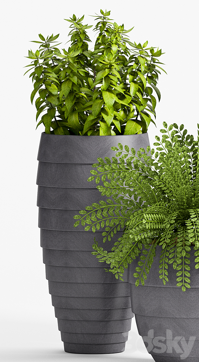 Plant Set -25 3DSMax File - thumbnail 2