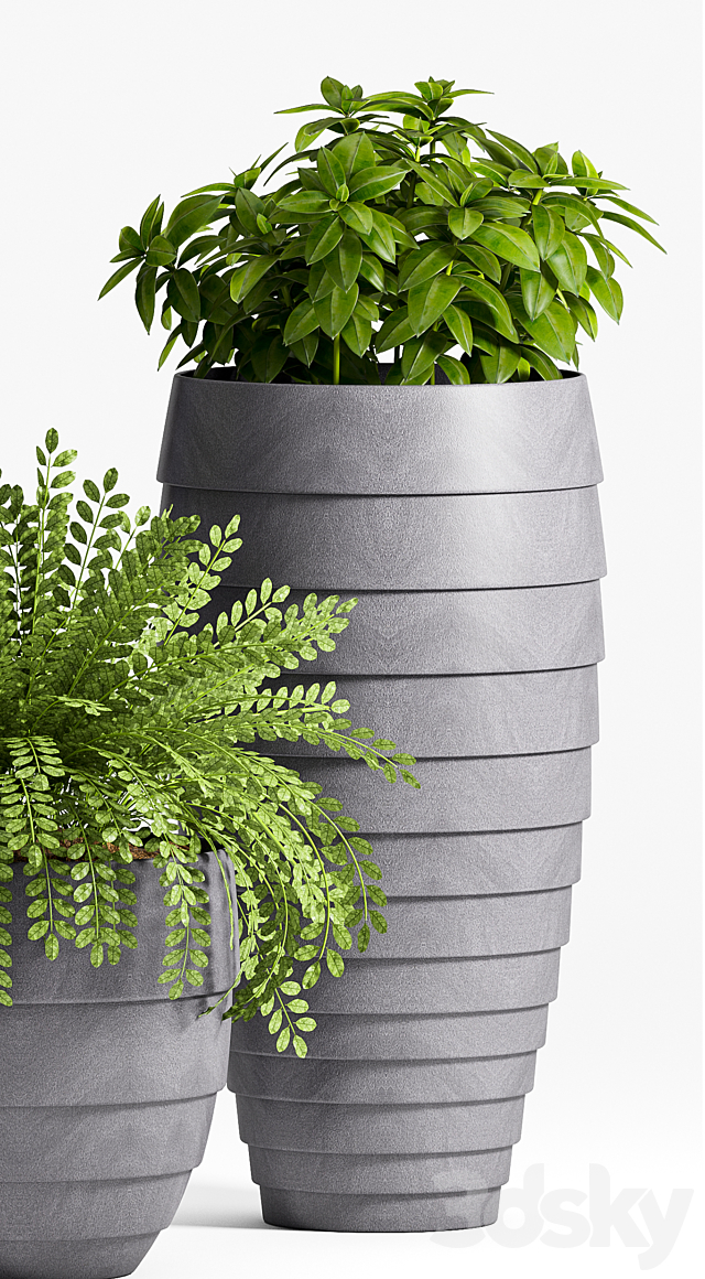 Plant Set -25 3DSMax File - thumbnail 3