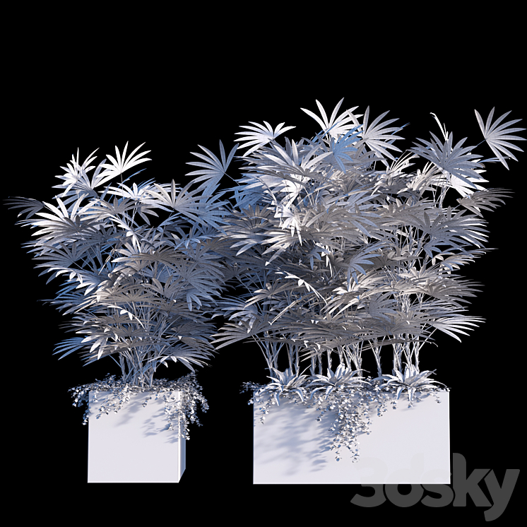 Plant set # 3 3DS Max - thumbnail 2