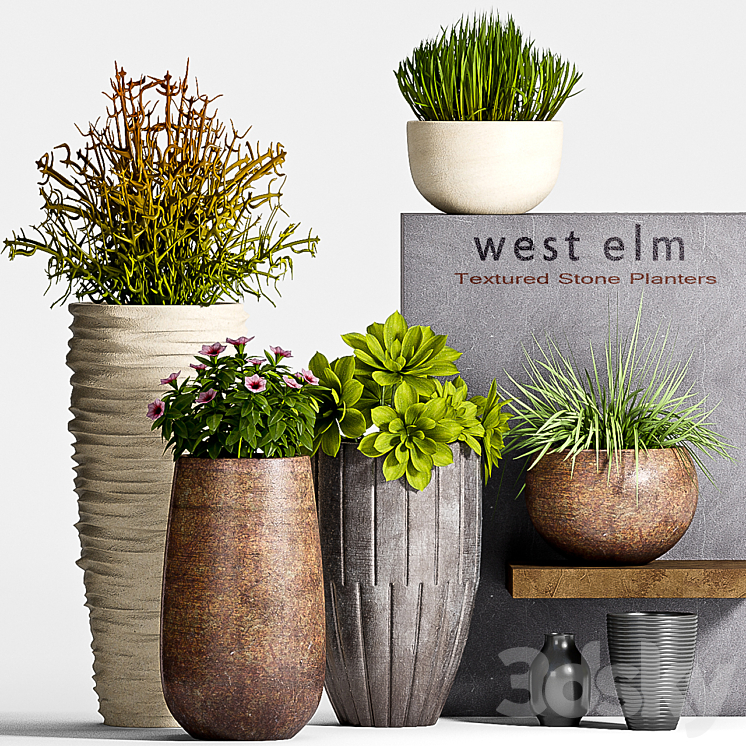 PLANT SET -63 3DS Max - thumbnail 1