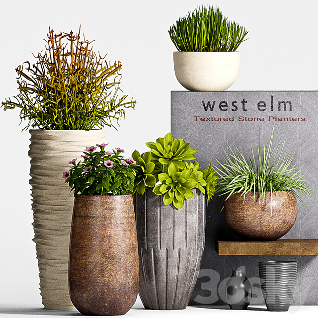 PLANT SET -63 3DSMax File - thumbnail 1