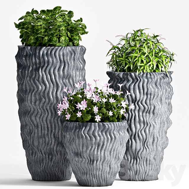 PLANT SET -64 3DSMax File - thumbnail 1