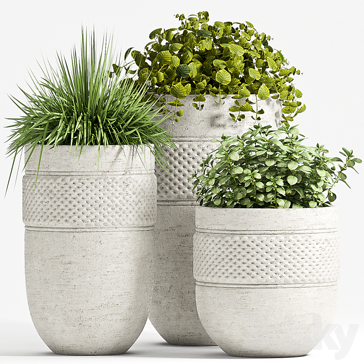 PLANT SET – 67 3DS Max - thumbnail 1