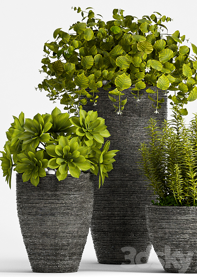 PLANT SET – 75 3DS Max Model - thumbnail 2