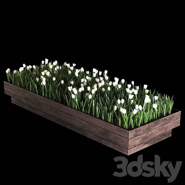 plant616 3ds Max - thumbnail 2