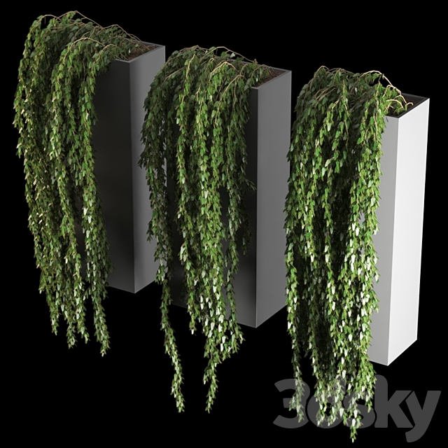 plant718 3ds Max - thumbnail 3