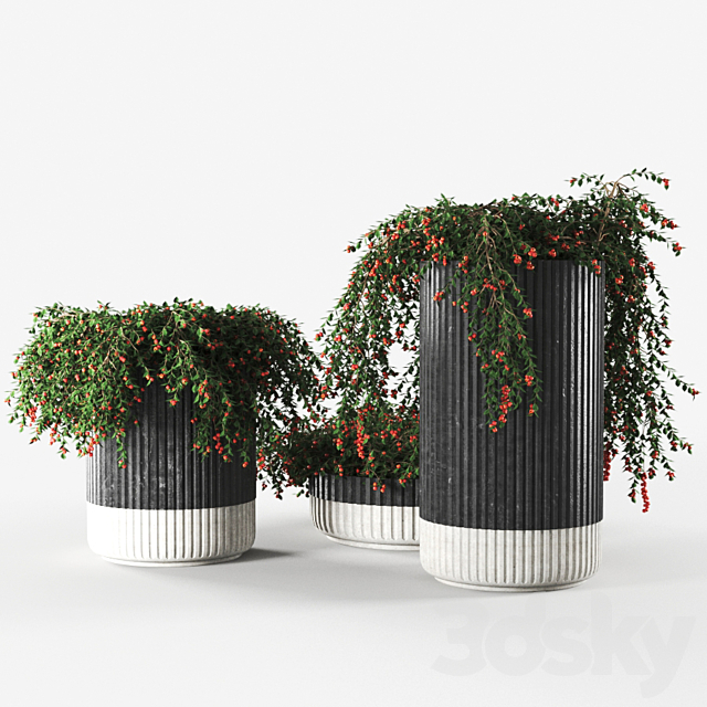 plant933 3ds Max - thumbnail 2