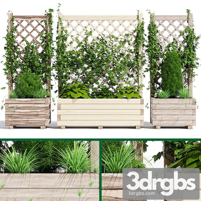 Planter with lattice - thumbnail 1