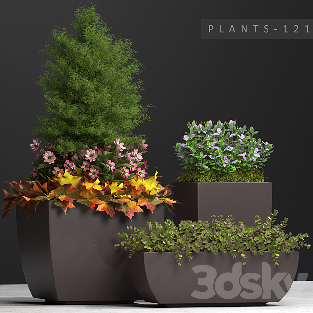 PLANTS 121 3ds Max - thumbnail 1