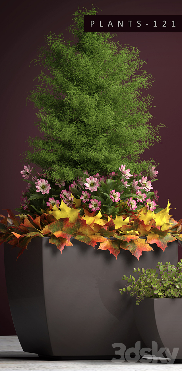 PLANTS 121 3ds Max - thumbnail 2