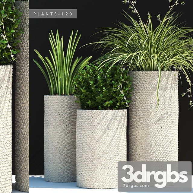 Plants 129 3dsmax Download - thumbnail 1