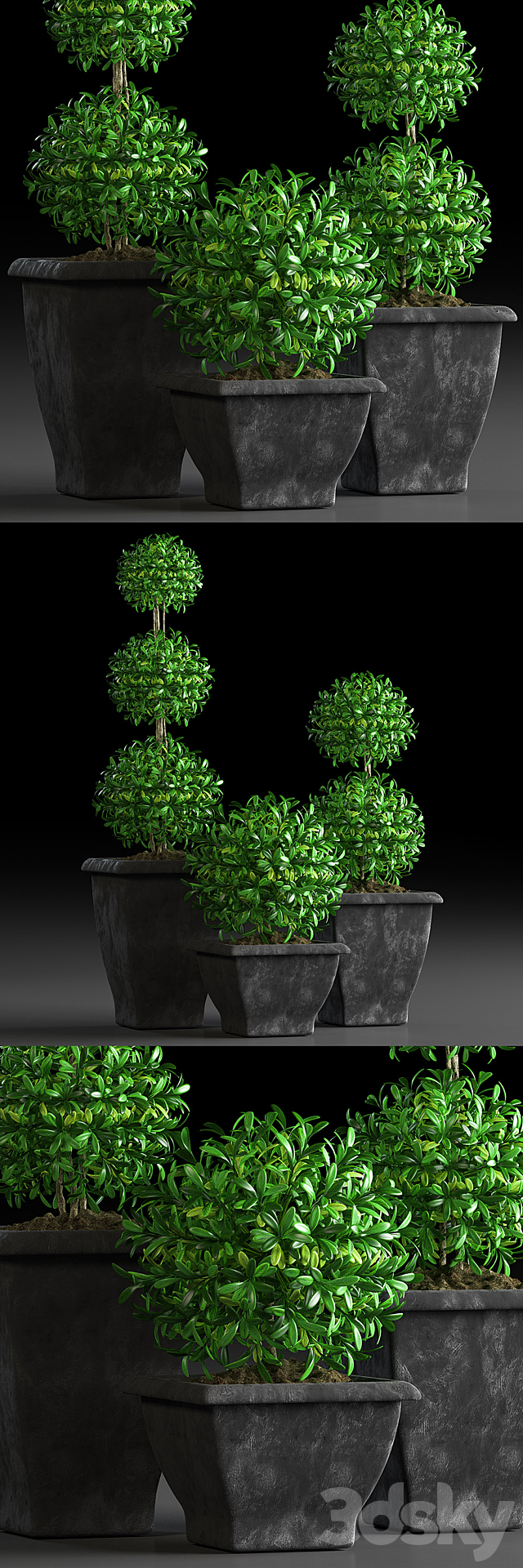 PLANTS 15 3ds Max - thumbnail 1