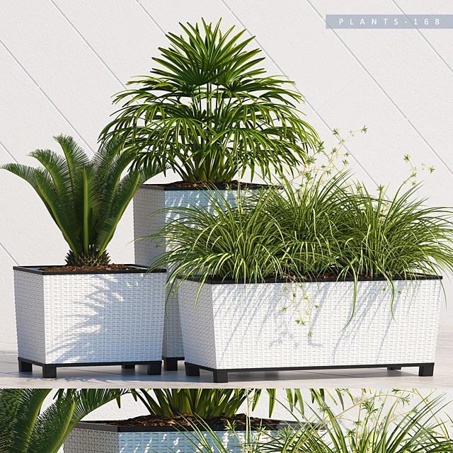 PLANTS 168 3ds Max - thumbnail 1