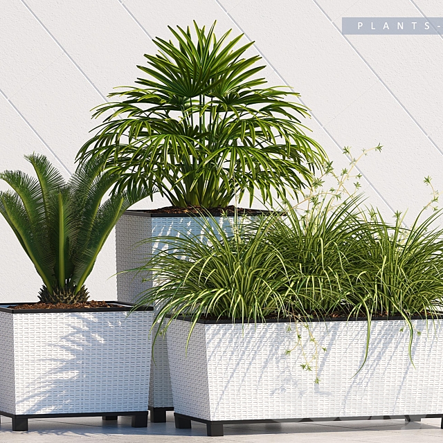 PLANTS 168 3ds Max - thumbnail 2