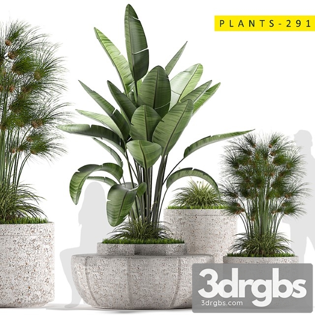 Plants 291 - thumbnail 1