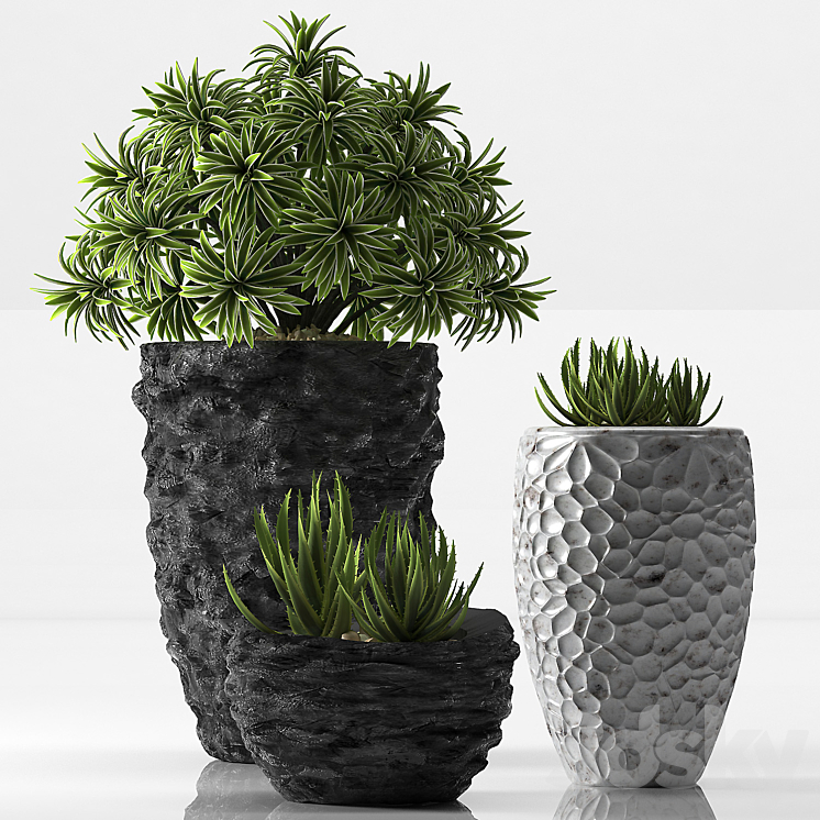 PLANTS 31 3DS Max - thumbnail 1