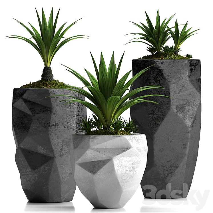 PLANTS 33 3DS Max - thumbnail 1