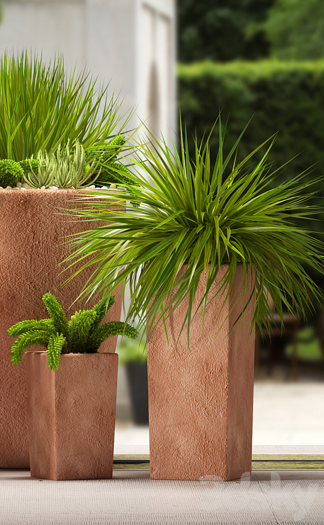 plants 3DSMax File - thumbnail 3