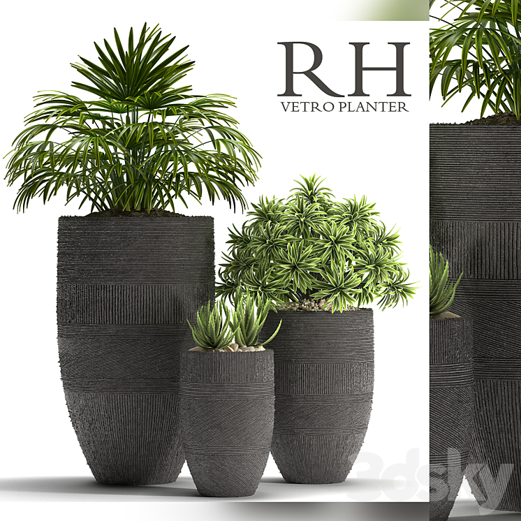 PLANTS 42 3DS Max - thumbnail 1