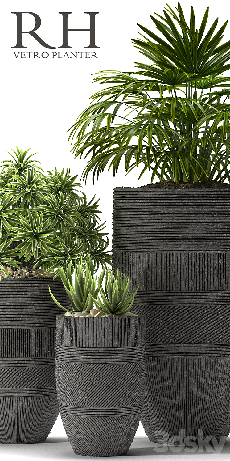 PLANTS 42 3DS Max - thumbnail 2