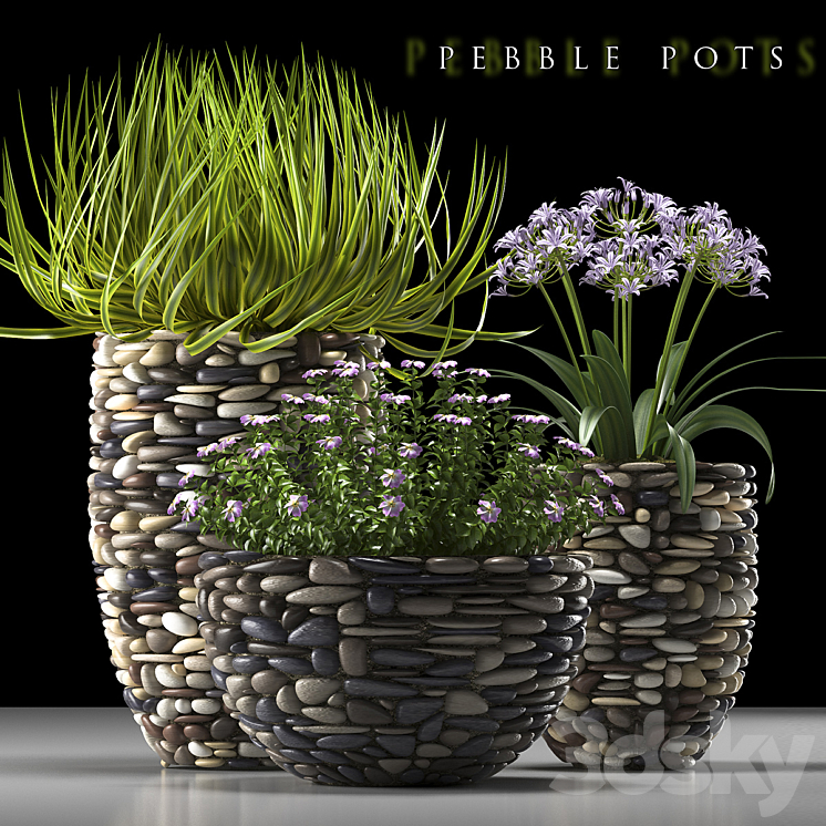 PLANTS 57 3DS Max - thumbnail 1