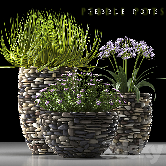 PLANTS 57 3DSMax File - thumbnail 1