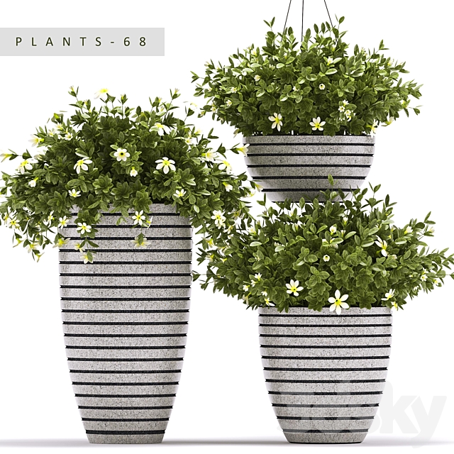 PLANTS 68 3DSMax File - thumbnail 1