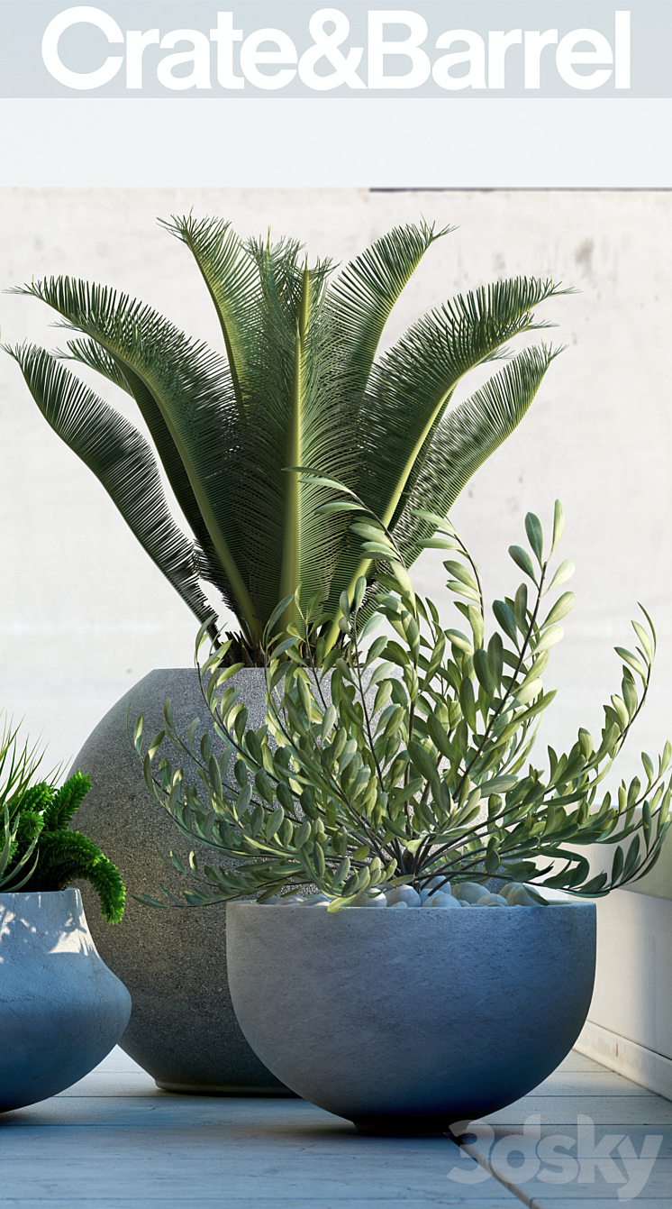 PLANTS 78 3DS Max - thumbnail 2