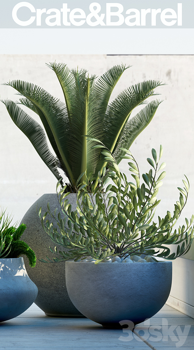 PLANTS 78 3DSMax File - thumbnail 2