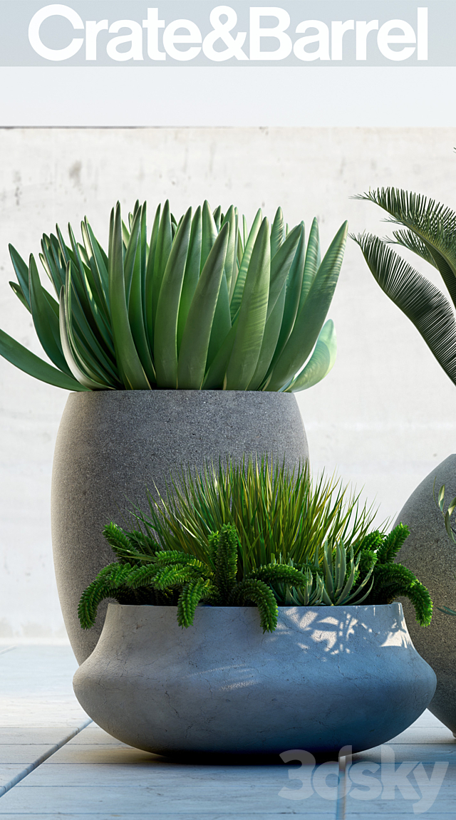 PLANTS 78 3DSMax File - thumbnail 3