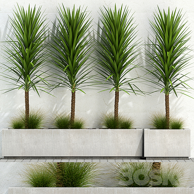 Plants collection 105 3ds Max - thumbnail 1