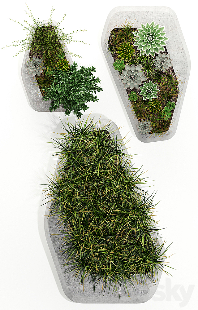 Plants collection 132 indigenus steen 3DSMax File - thumbnail 2