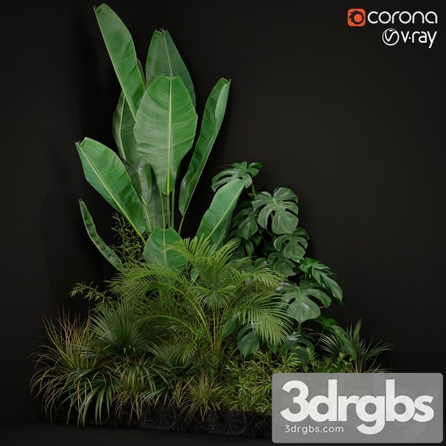 Plants Collection 196 3dsmax Download - thumbnail 1