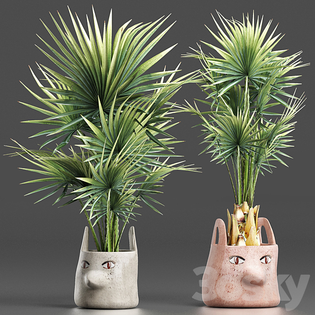 Plants Collection 198 Sabal Minor 3DSMax File - thumbnail 1