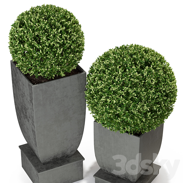 Plants collection 328 3ds Max - thumbnail 2