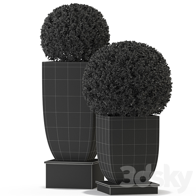 Plants collection 328 3ds Max - thumbnail 3