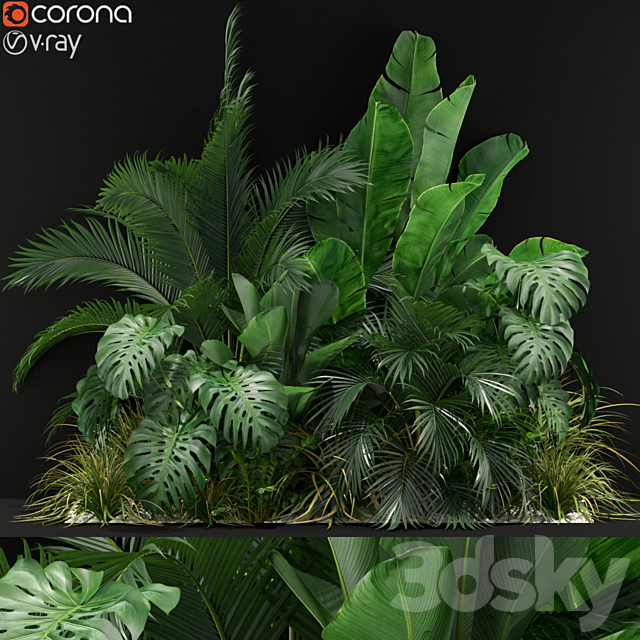 Plants collection 357 3DSMax File - thumbnail 1