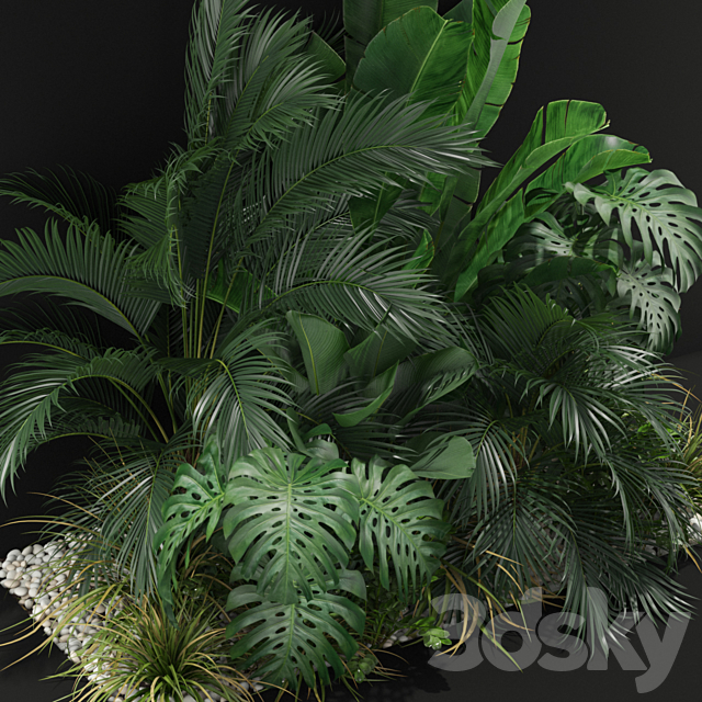 Plants collection 357 3DSMax File - thumbnail 3