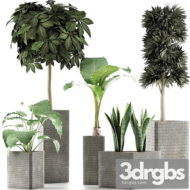 Plants Collection 39 3dsmax Download - thumbnail 1