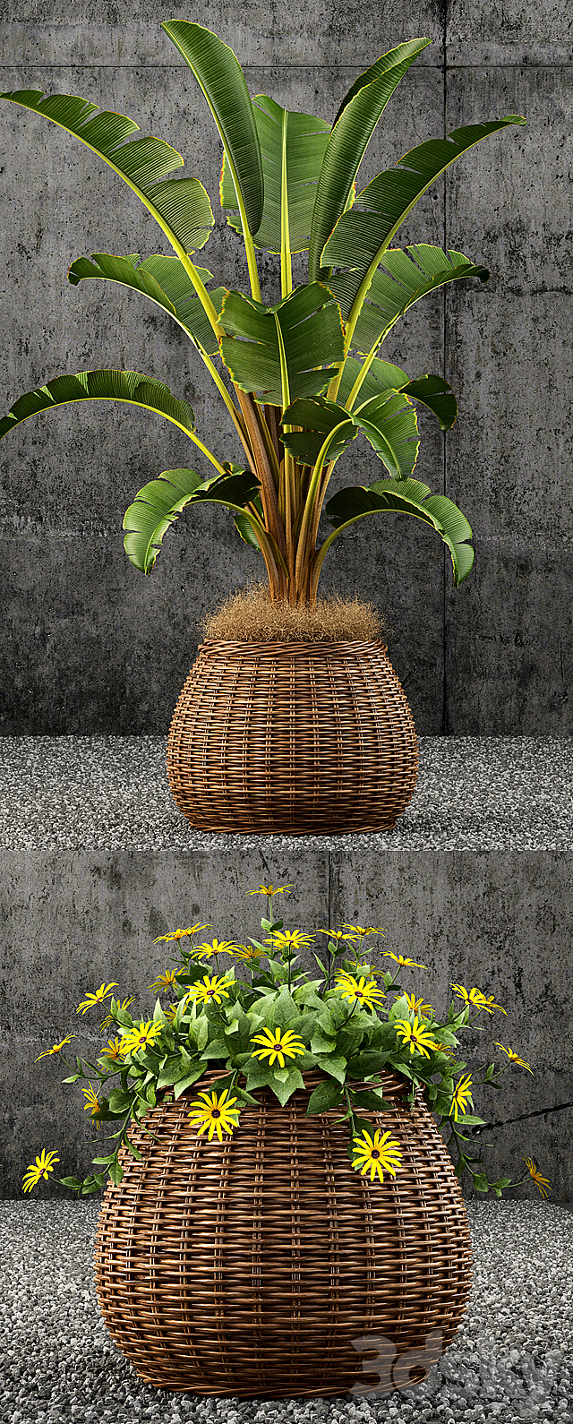 Plants collection 55 3ds Max - thumbnail 2