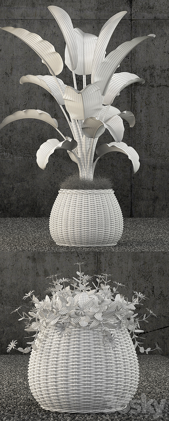 Plants collection 55 3ds Max - thumbnail 3