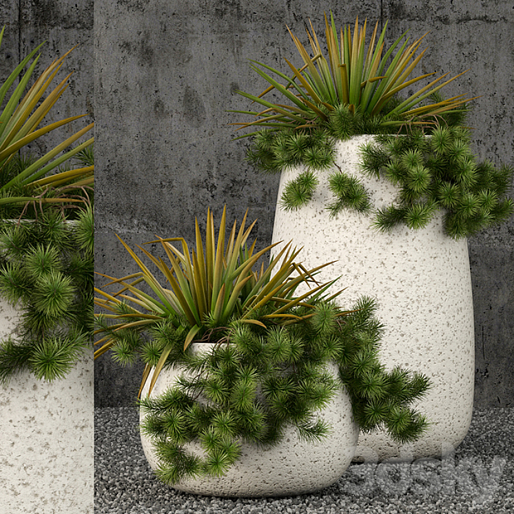 Plants collection 57 3DS Max - thumbnail 1