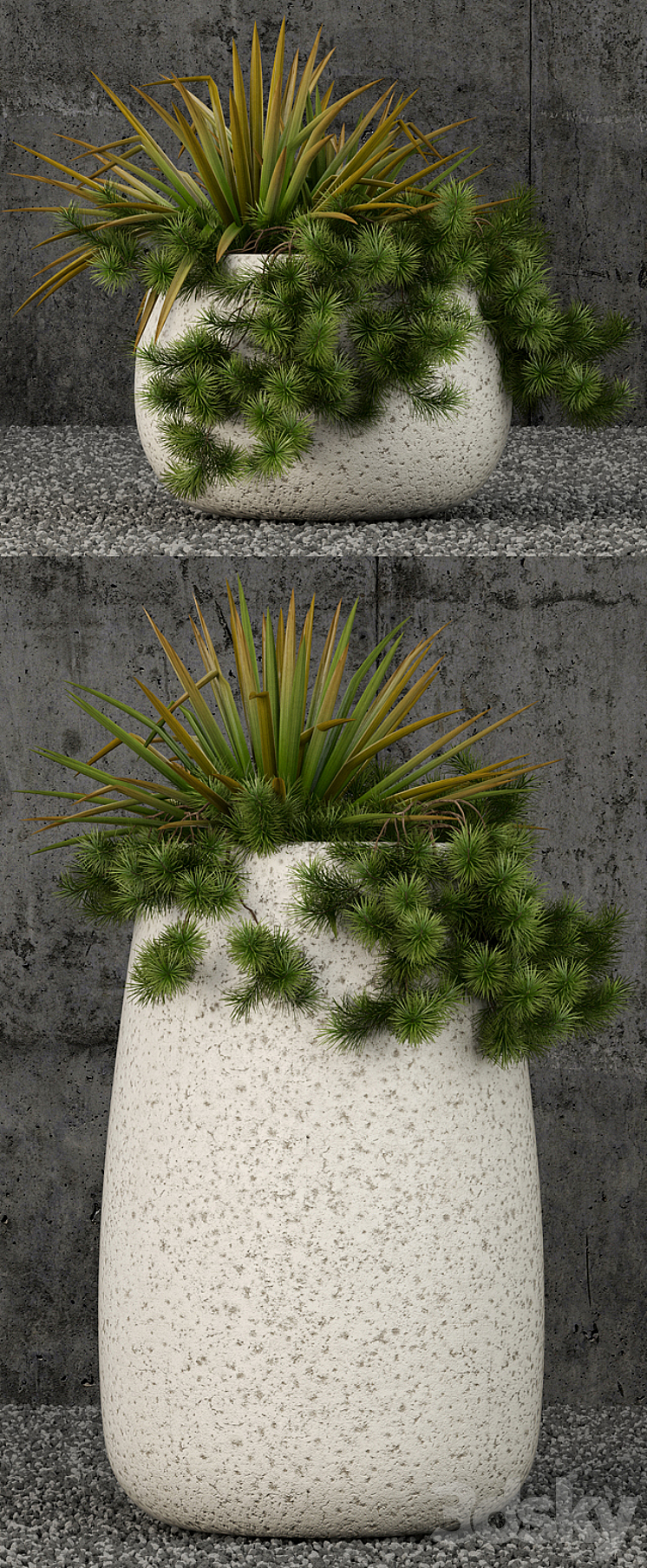 Plants collection 57 3DS Max - thumbnail 2