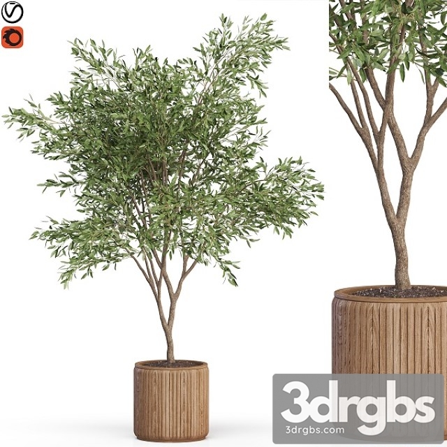 Plants Collection 625 3dsmax Download - thumbnail 1