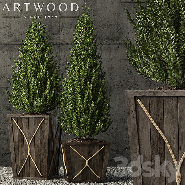 Plants collection 64 3ds Max - thumbnail 1