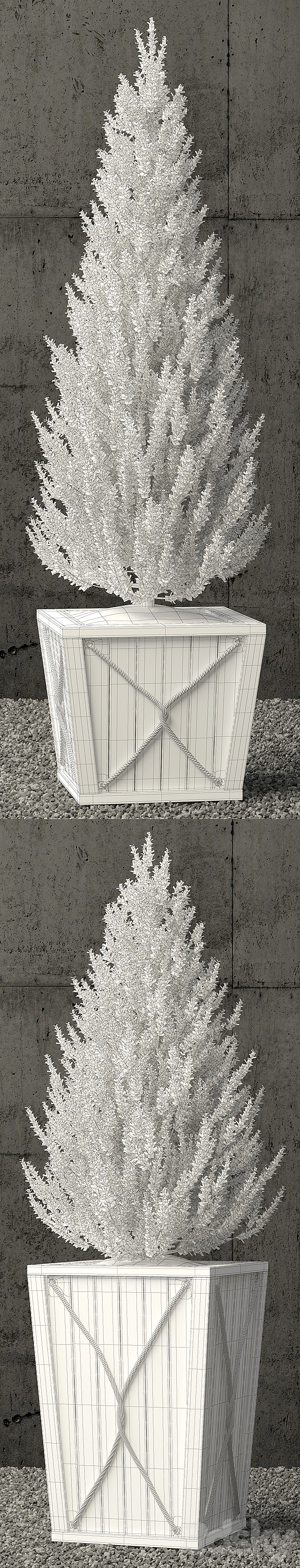 Plants collection 64 3ds Max - thumbnail 3