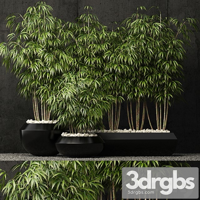 Plants Collection 66 3dsmax Download - thumbnail 1